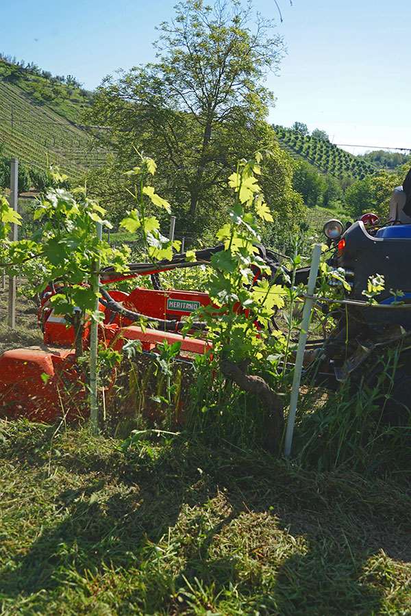 Diserbatrice meccanica combinata - immagine 4