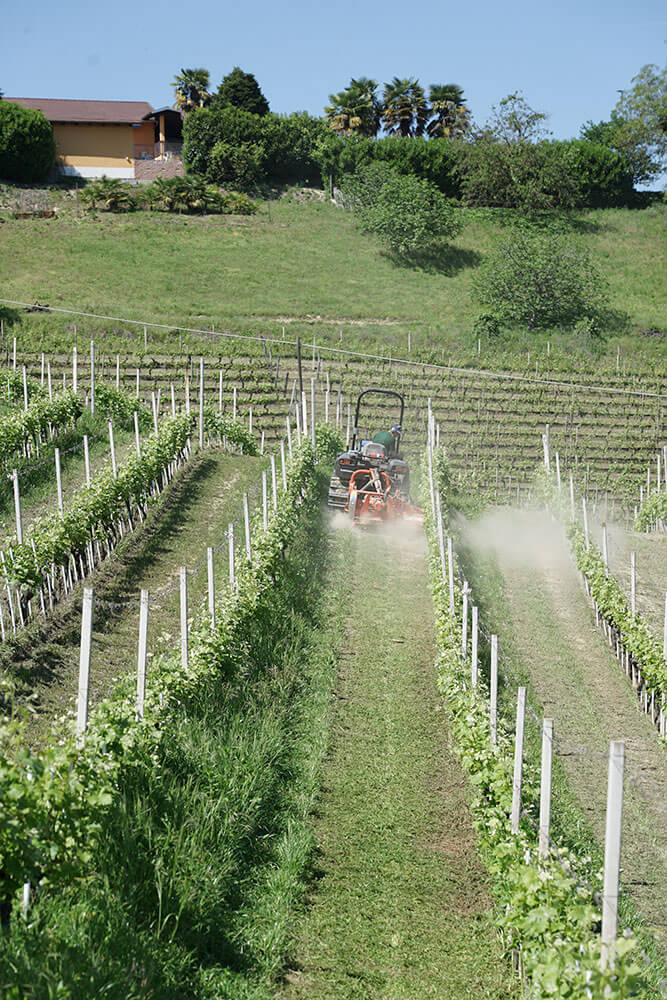 Diserbatrice meccanica combinata - immagine 5
